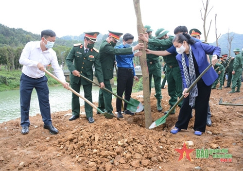 Ban Thanh niên Quân đội phối hợp với Cục Chính trị Quân khu 2 trồng 300 cây xanh các loại